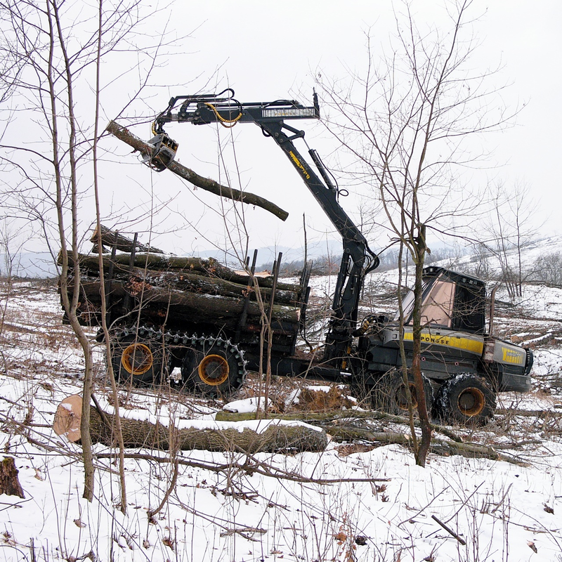 Illustration for article titled A First-Hand Look At Europe's Monster Logging Machines